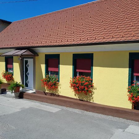 Hotel Pri Belokranjcu Novo Mesto Exterior photo
